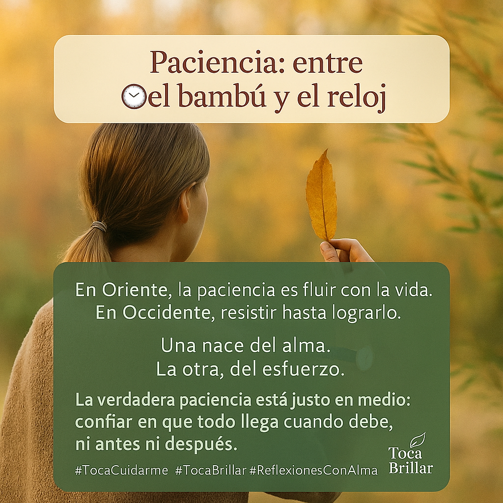 «Paciencia: el arte de confiar en el tiempo”